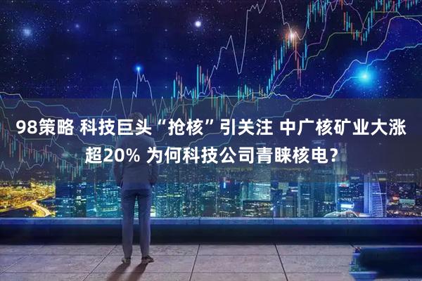 98策略 科技巨头“抢核”引关注 中广核矿业大涨超20% 为何科技公司青睐核电？