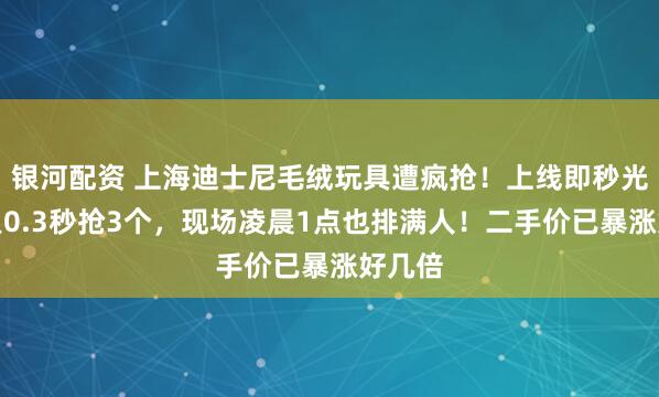 银河配资 上海迪士尼毛绒玩具遭疯抢！上线即秒光，有人0.3秒抢3个，现场凌晨1点也排满人！二手价已暴涨好几倍