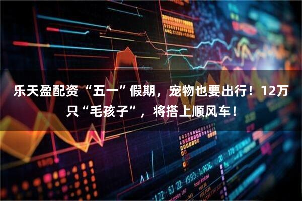 乐天盈配资 “五一”假期，宠物也要出行！12万只“毛孩子”，将搭上顺风车！