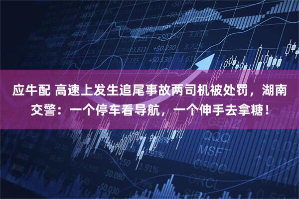 应牛配 高速上发生追尾事故两司机被处罚，湖南交警：一个停车看导航，一个伸手去拿糖！